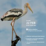 Stork Haven - 22nd Feb