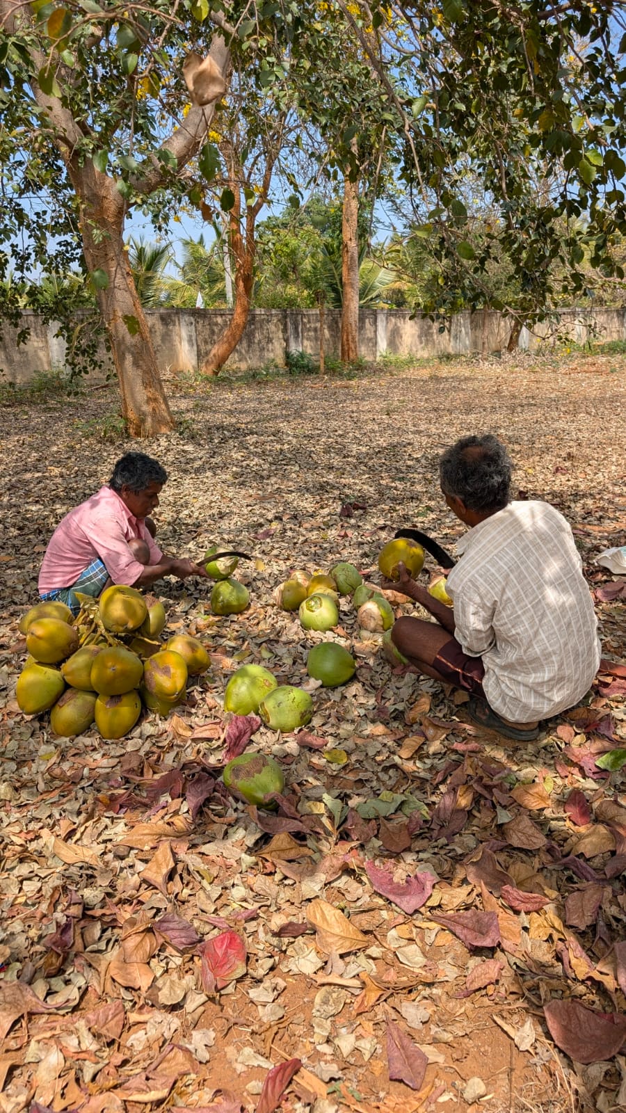 Bengaluru - Stork Haven - 29th March - Image 7