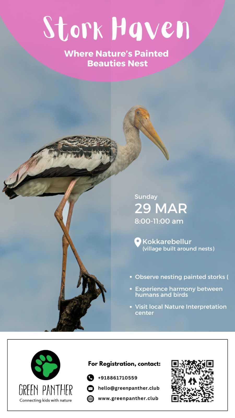 Bengaluru - Stork Haven - 29th March - Image 8