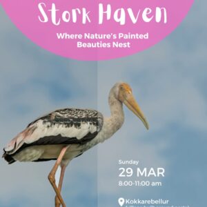 Stork Haven 29 March - 1 Parent + 1 Child