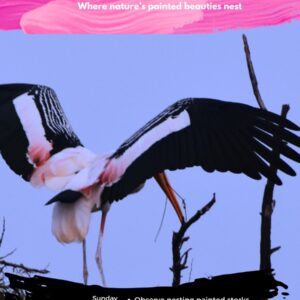 Bengaluru - Stork Haven - 29th March