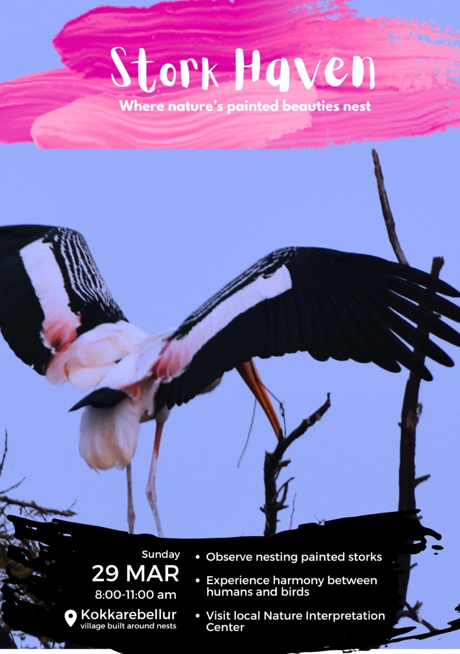 Bengaluru - Stork Haven - 29th March