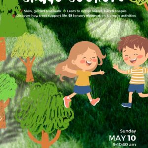 Bengaluru - Shade Seekers – A Summer Tree Walk - 10th May