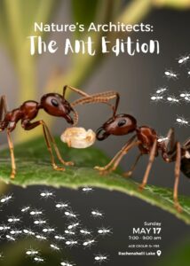 Bengaluru - Nature Architect - Ant Edition - 17th May