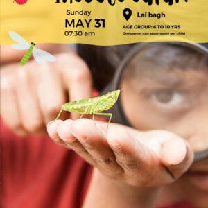 Bengaluru - Insect Safari - 31st May