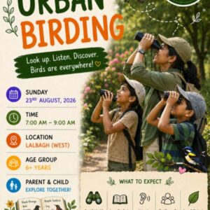 Bengaluru - Urban Birding - 23rd Aug