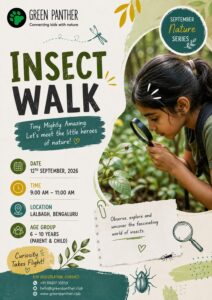 Bengaluru - Insect Walk - 12th Sept